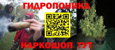 a pvp Донецк