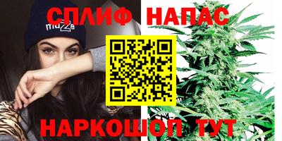 мяу мяу мука Донской
